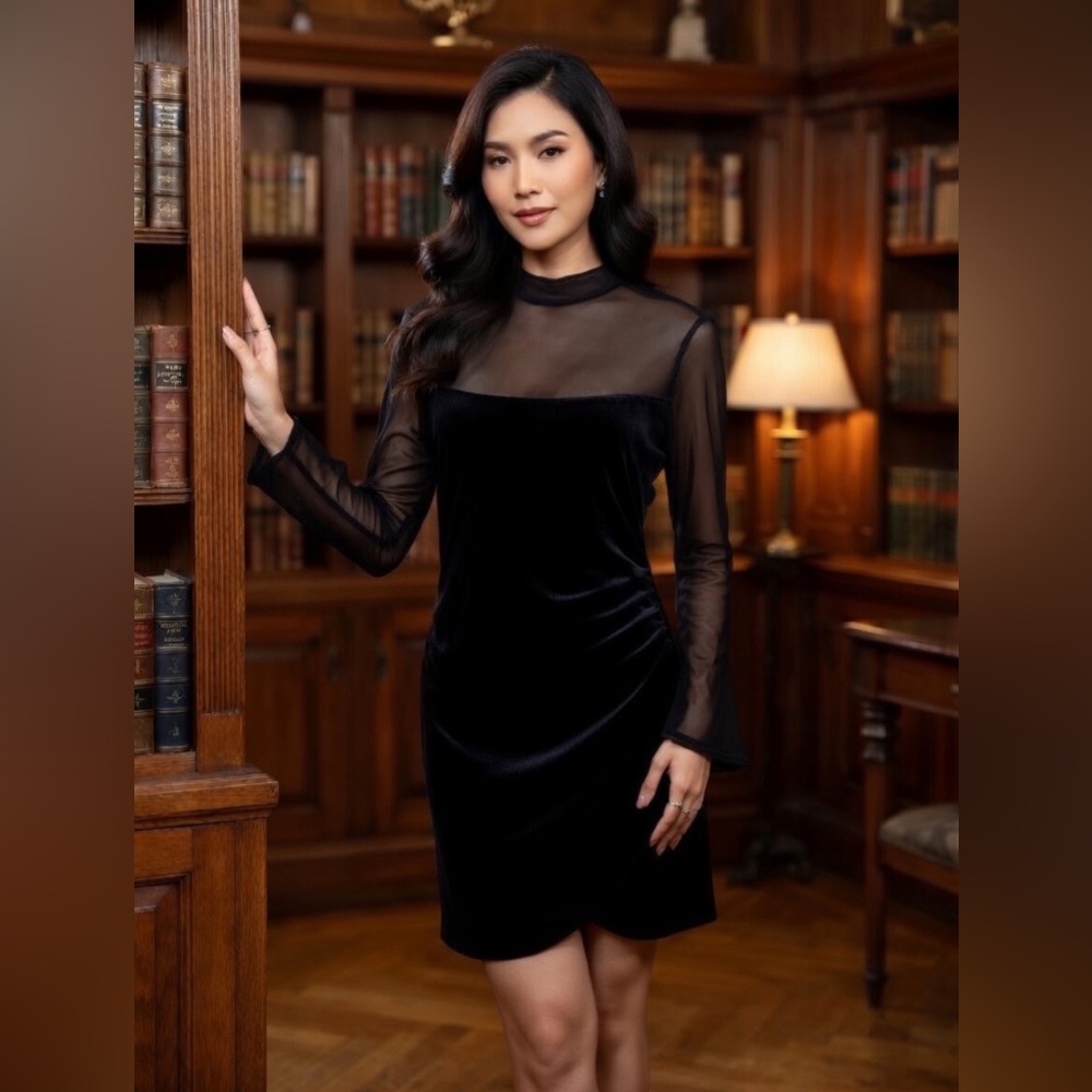 Wild Fable Elegant Black Velvet Dress with Sheer Long Sleeves 🖤
